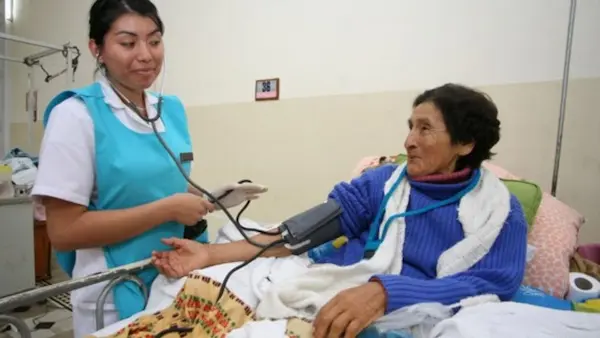 dia de la enfermera peruana