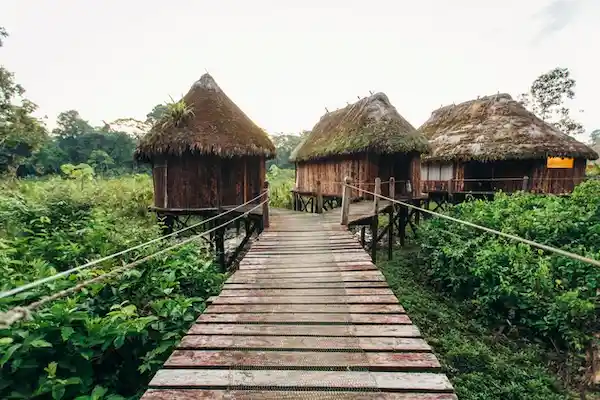 Cabañas en la selva