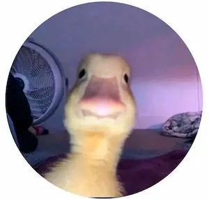 Alberto