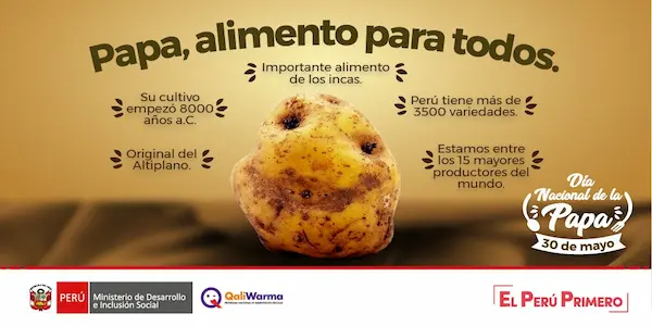 Importancia económica y nutricional de la papa peruana