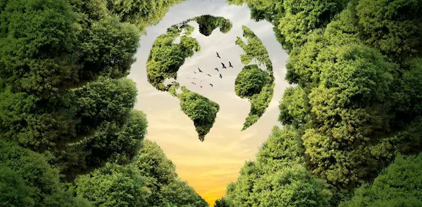 Día del Medio Ambiente 7 estrategias de sostenibilidad que impulsan las ganancias empresariales