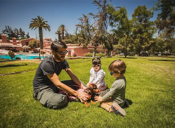 Ideas para papá 15 actividades y planes inolvidables que amará