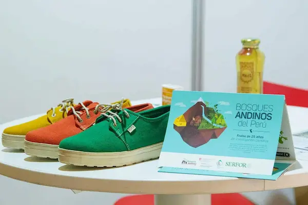 Innovación en productos y servicios ecológicos