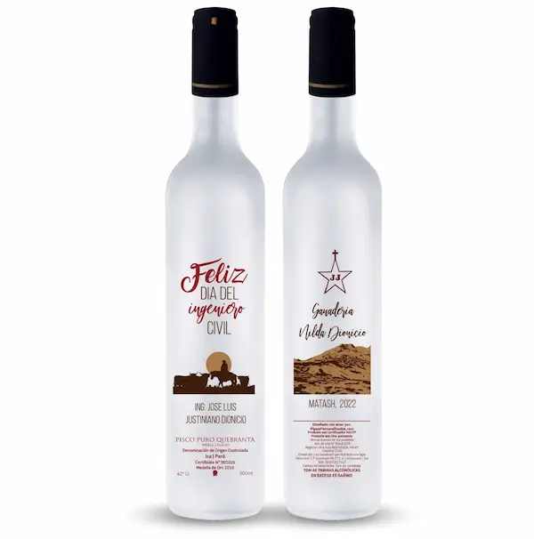 PISCO INGENIERO-01