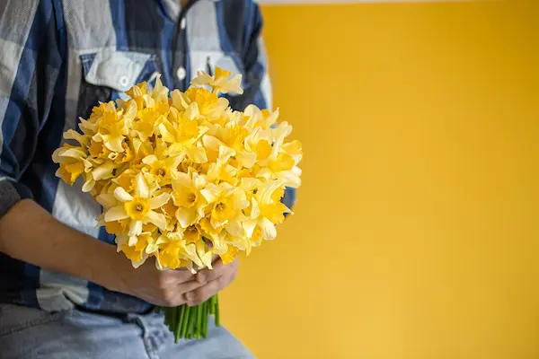 A quién se pueden regalar flores amarillas
